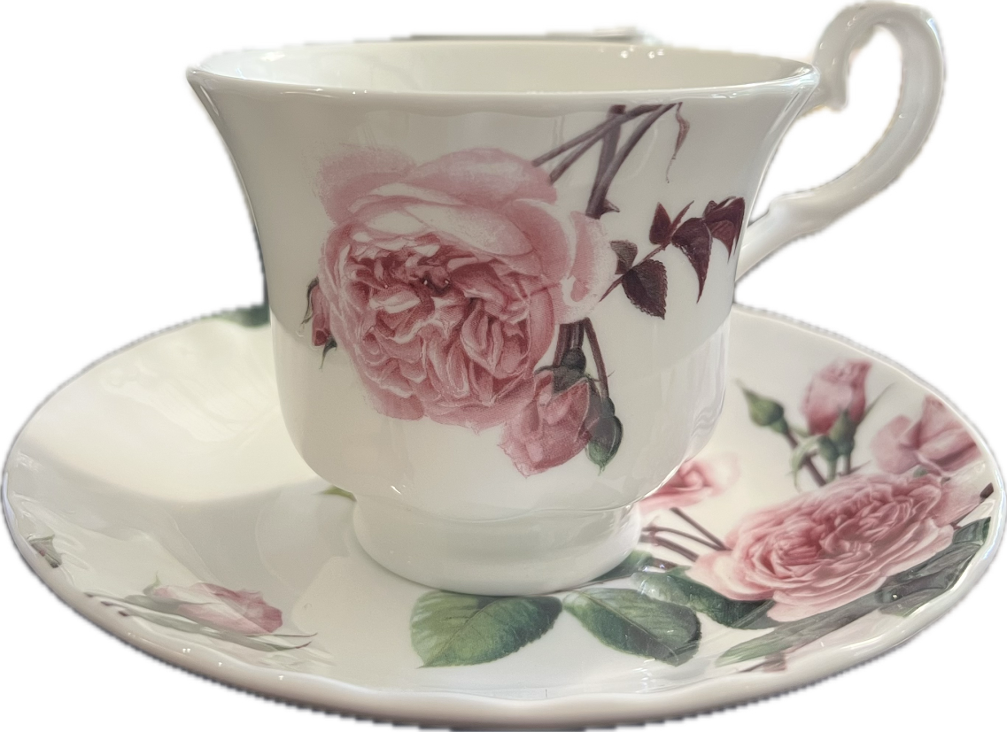 English Rose (David Austin) by Roy Kirkham - Teacup & Saucer - 2 available