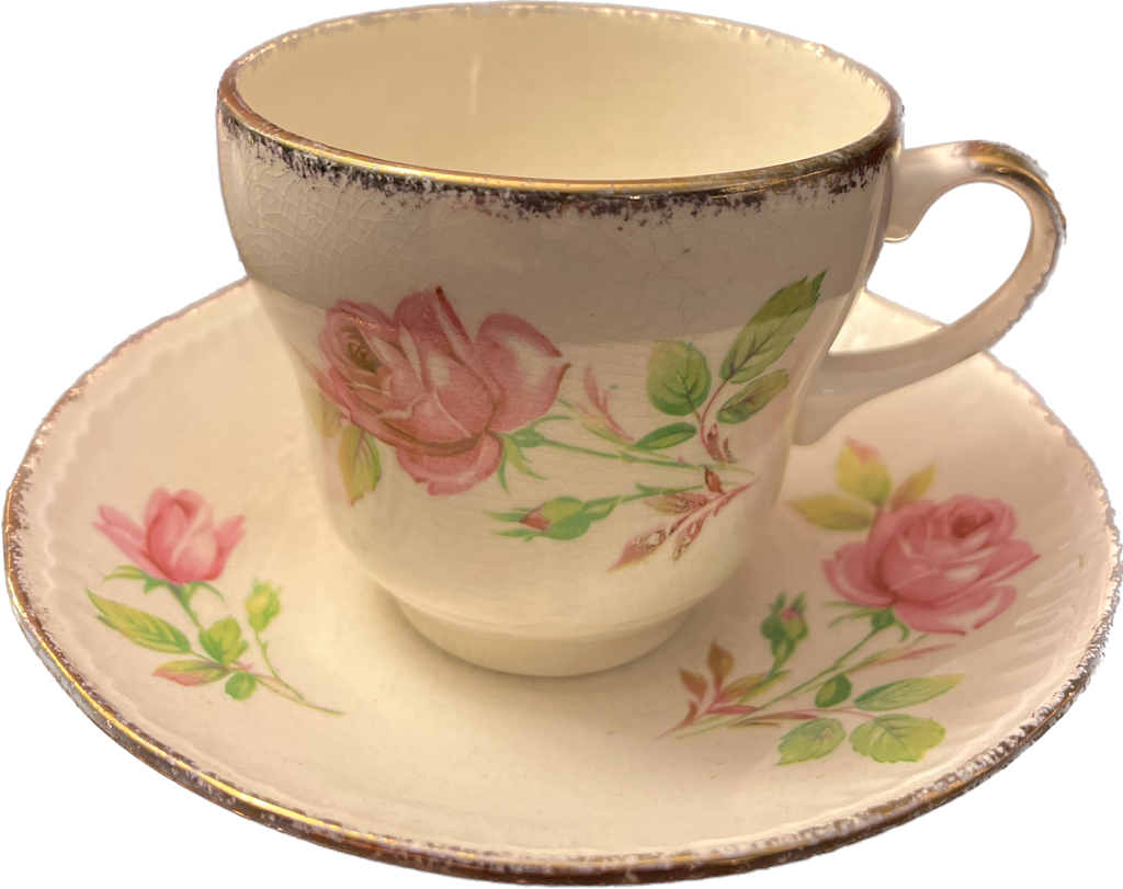 SWI7 - Luxor Vellum by Swinnertons - Teacup & Saucer - 1 available