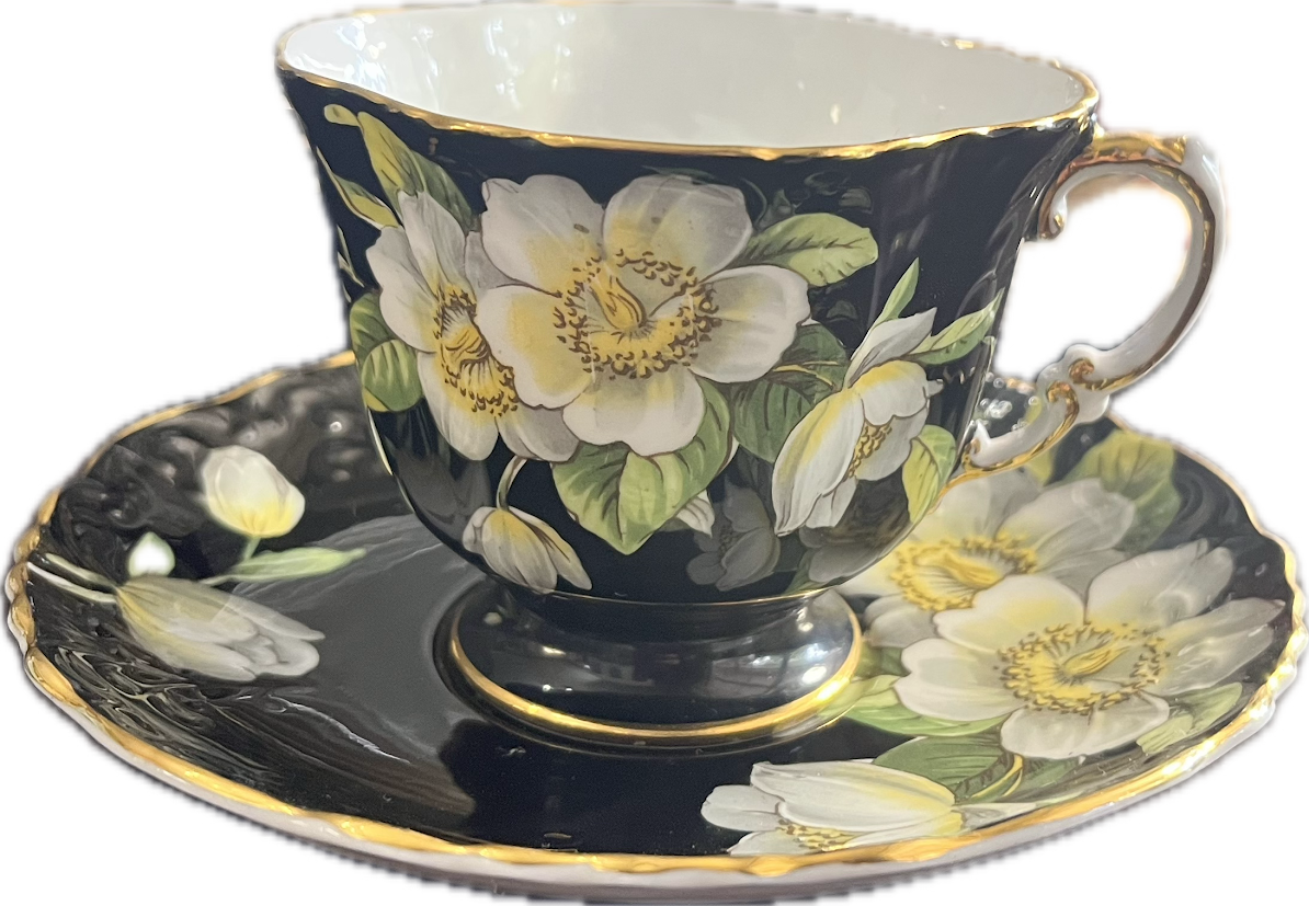 Midnight Rose by Aynsley - Teacup & Saucer - 1 available