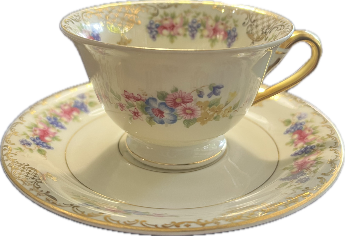 Floranada by Rosenthal - Teacup & Saucer - 2 available