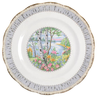 Silver Birch by Royal Albert - Teacup & Saucer - 1 available