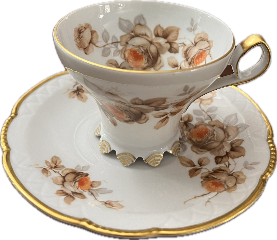 Norway Rose by Mitterteich - Teacup & Saucer - 1 available