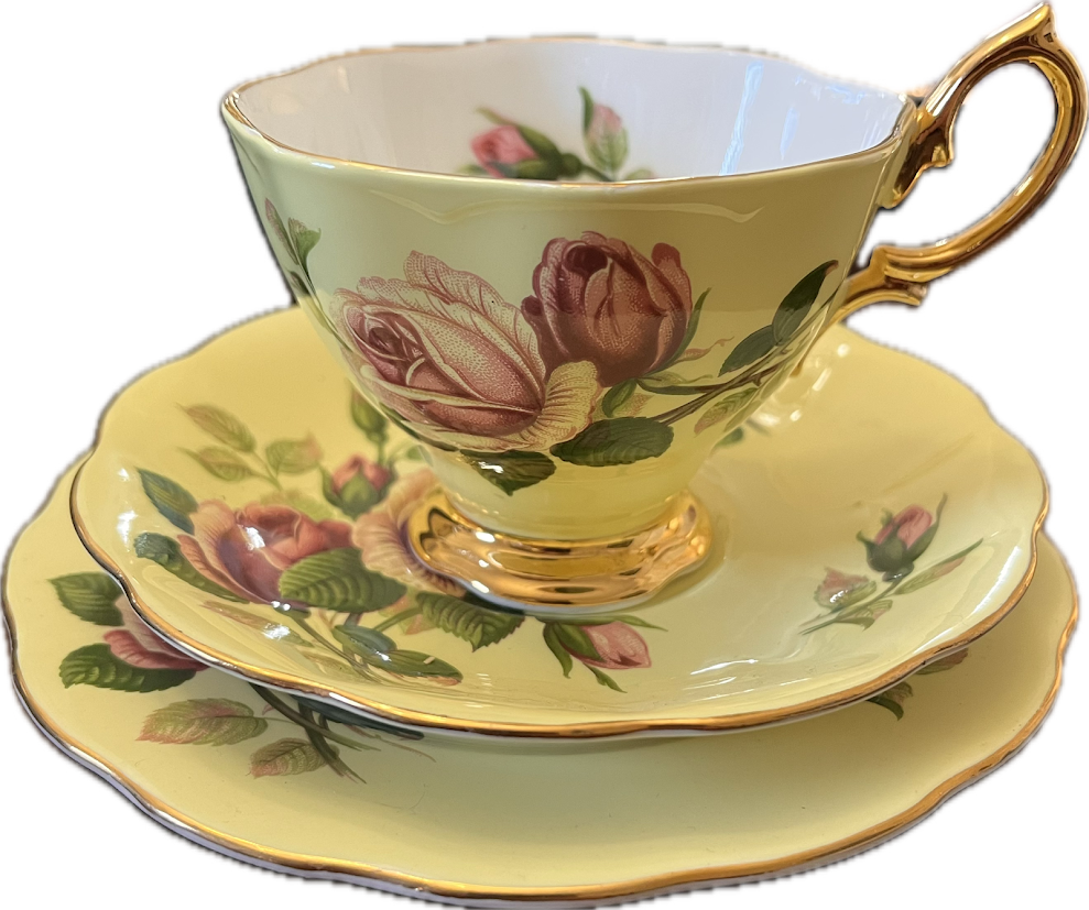 English Beauty by Royal Albert - Teacup & Saucer (yellow) - 1 available